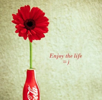 enjoy the life