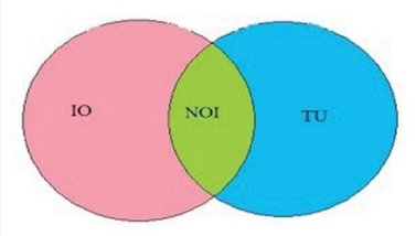 io tu noi
