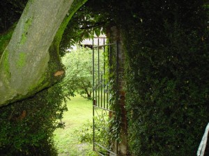 giardino segreto 1