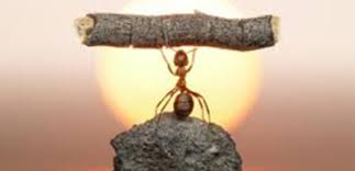 fiducia in se stessi