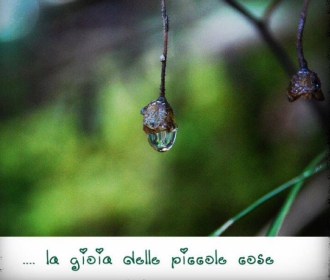 PICCOLE COSE 1
