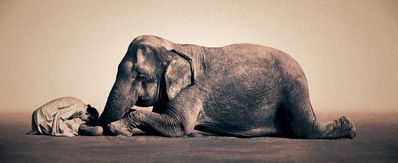 Namaste-Gregory-colbert