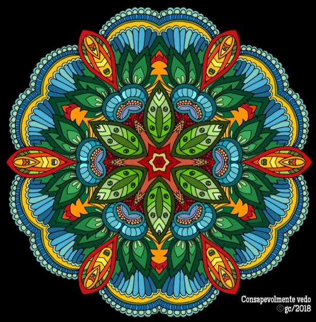 CONSAPEVOLMENTE VEDO